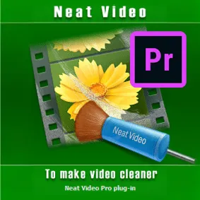 ABSoft Neat Video Pro Premier Pro WIN's photo #1