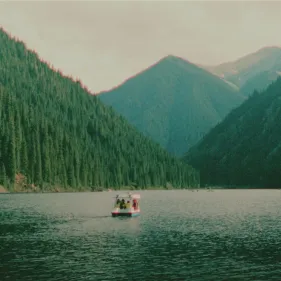 Analogica Lab CINESTILL 800T Power Grade para Davinci Resolve's photo #3