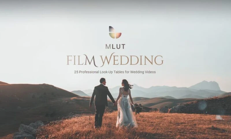 25-Professional-LUT-Pack-MLUT-Film-Wedding's foto | Isla Creativa |  BizneCubano