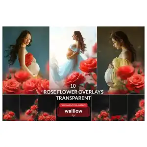 10 superposiciones de rosas PNG transparente miniatura 1